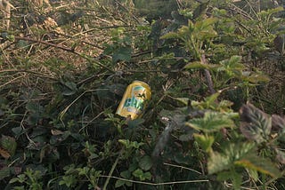 #2kmcleanup: Litter in Hedgerows