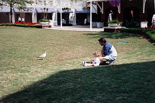 A young child and her father on the grass looking at a seagull in a tourist courtyard