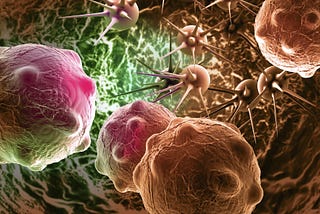 How Are Cancers Formed in the Human Body?