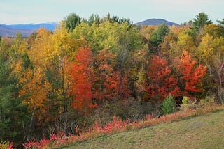 New England Leaf Peeping in One Week