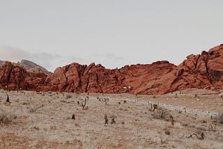 If I had 320 Acres of Desert…