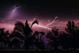 Veins Of Lightening