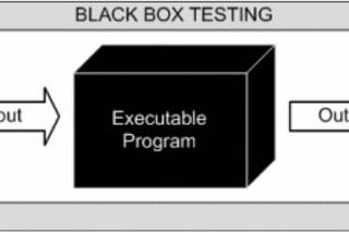 Black Box & White Box Testing