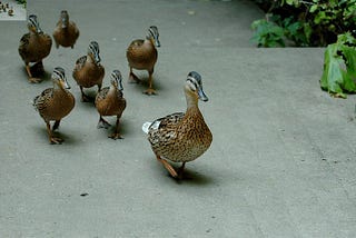 Five Tips for Cross-Functional Leadership
