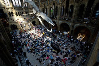 Natural history museums in the age of Extinction Rebellion