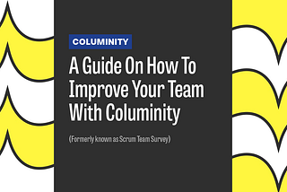 A Guide On How To Improve Your Team With Columinity