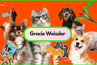 Gracie Weissler: Crafting Purrfect Content with Mia, Kaya, and Zuko