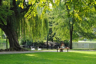 Woman sitting on a bench by a pond in a park.