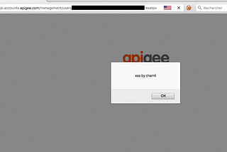 Google Acquisition XSS (Apigee)