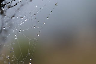 Ephemeral Rhapsody