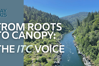 Good Fire and Strong Sovereignty: Cultural Burning as a Path to Indigenous-Led Forest Stewardship