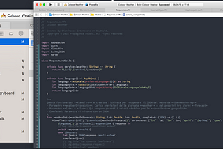 Il mestiere del Developer