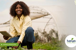How Lupiya Business Loans Can Benefit Your Company