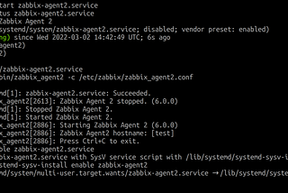 Ubuntu Zabbix Agent2 Kurulumu