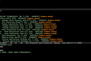 Extracting Fundamental Stock Data from EDGAR using our favorite language: Common Lisp (Part 1)