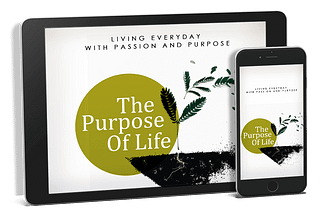 The Purpose Of Life PLR Review