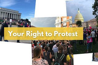 Your Right to Protest: Making Your Voice Heard for Abortion Rights & Staying Safe