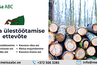 Metsa offers forest owners the possibility of shorter or longer-term cooperation — Metsa…