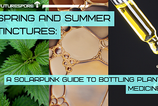 FUTURESPORE SPRING AND SUMMER TINCTURES: A SOLARPUNK GUIDE TO BOTTLING PLANT MEDICINE