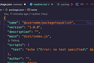 How to publish a package to npm ?