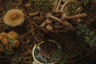 In The Dark: Mushrooms (Dietary Benefits & Cooking Hacks)