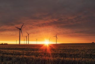 Sunset over a field of windmills