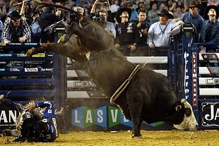 An Ode to Mick E. Mouse, One of the Most Badass Bulls to Ever Live