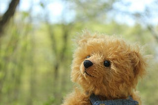 Brown teddy bear plush toy on green grass during daytime