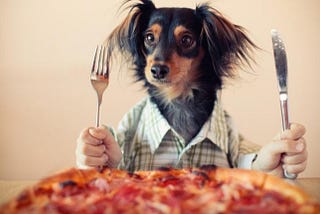 Can dogs eat pizza | 5 Possible Side Effects of Pizza for Dogs?