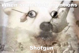 Servers and our long battle with Shotgun