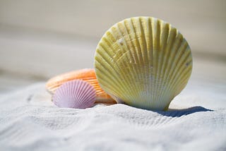Execute Python with Shebang — Make Your Scripts Executable