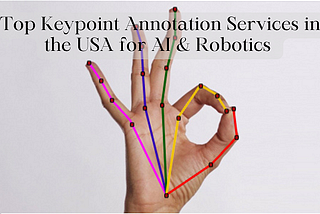 Top Keypoint Annotation Services in the USA for AI & Robotics