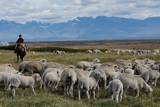 Santa Cruz, Patagonia Argentina