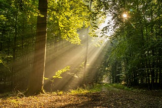 Powerful Morning Routine Habits I Have Discovered To Set Up the Day