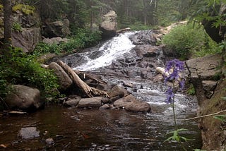 Overcome Self-Indulgence to Attain Wellness and Autonomy