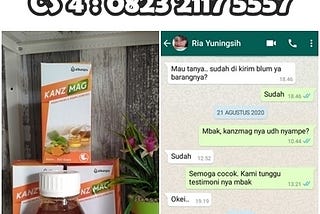 Obat Herbal Asam Lambung Dan Maag