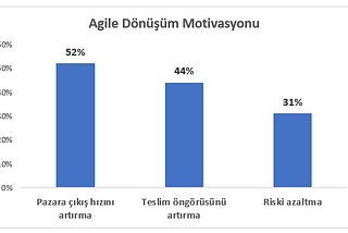 Agile Trend Analizi — 2022