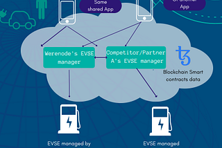 Werenode crypto Review