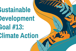 Sustainable Development Goal #13: Climate Action