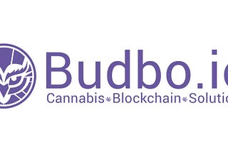 Budbo project — a modern view on the cannabis industry