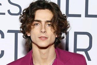 Movies with Timothée Chalamet: A Journey Through Rising Stardom