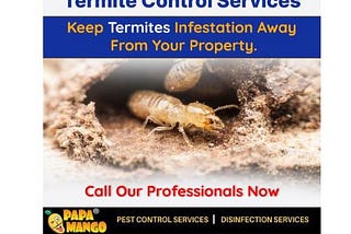 Termite Control Services in Ghaziabad