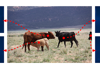 DETR: End-to-End Object Detection with Transformers