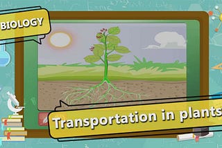 GK For Competitive Exams in Biology-Transportation in Plants