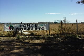 Monsanto no está, pero sigue presente