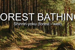 Forest bathing