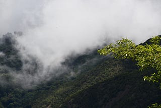 Carta a la nueva ministra de Ambiente