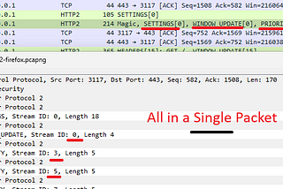Frames in a single packet