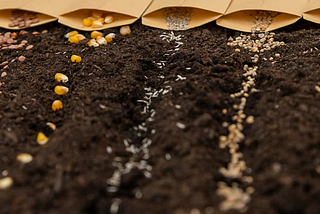 A VC’s Playbook: An Investor’s Guide to Seed Investing