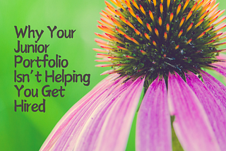 Why Your Junior Portfolio Isn’t Helping You Get Hired
